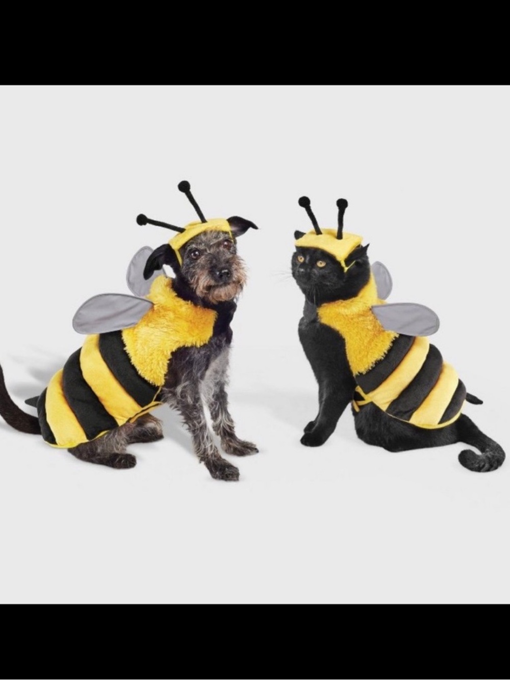 Bee Halloween Pet Costume